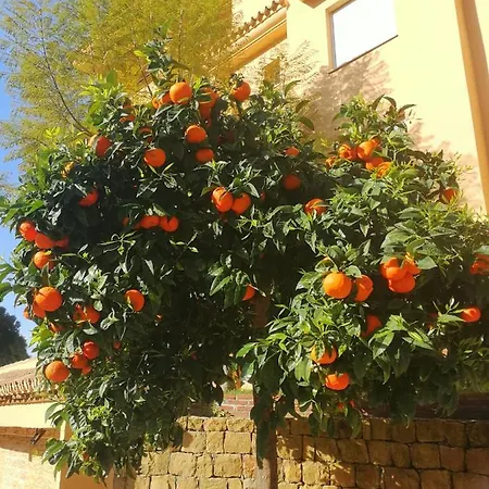 Apartment Princess Park, Mijas